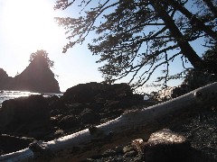 Olympic Peninsula Washington