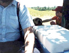 Ben Dorrough; dog