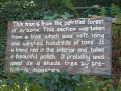Taken by; David Dorrough; Mendon Ponds
