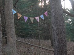 Taken by; David Dorrough; Mendon Ponds