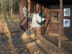 Taken by; David Dorrough; Mendon Ponds