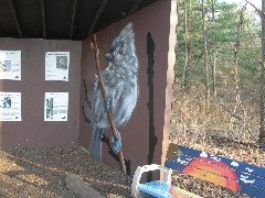 Taken by; David Dorrough; Mendon Ponds