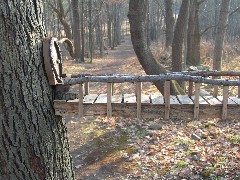 Taken by; David Dorrough; Mendon Ponds