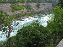 Whirlpool on the Niagara River