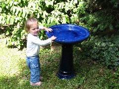Ellery Wheeler; Birdbath