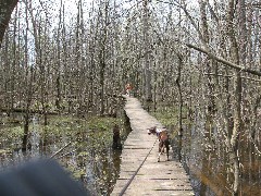 Ruth Dorrough; Wyatt dog; in the woods at FLCC