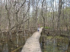 Jacob Wheeler; Kat Wheeler; Ellery Wheeler; in the woods at FLCC