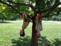 Jacob Wheeler; Ellery Wheeler; Taughannock State Park NY