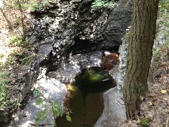 Ithaca NY