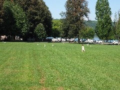 Ellery Wheeler chasing the pigeons at Cayuga Lake State Park