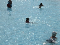 Ellery Kate Wheeler; Roseland water park; wave pool