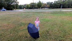 Ellery Wheeler; umbrella