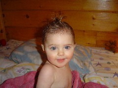 Ellery Wheeler