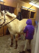 pony; Ellery Kate Wheeler; Full Circle Farm; Newport, NH