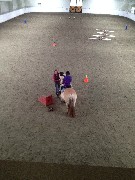 Ellery Kate Wheeler; pony; Full Circle Farm; Newport, NH