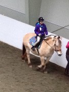 Ellery Kate Wheeler; pony; Full Circle Farm; Newport, NH