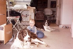 Family Jacob Wheeler dog mac