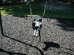 Jacob Wheeler at the Canandaigua Elementary playground