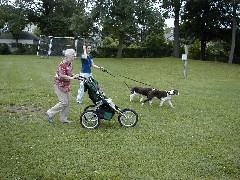 Ruth Dorrough; Kat Wheeler; Jacob Wheeler; playground at Canandaigua Elementary School;