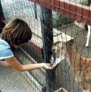 Katherine (Kat) McDougal Wheeler McCandless; zoo