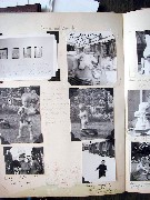 Dan Dorrough; babybook