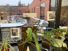 taken by David Dorrough @ Ewing Continuing Care Center