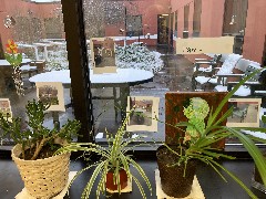 taken by David Dorrough @ Ewing Continuing Care Center