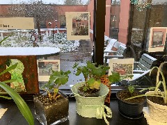 taken by David Dorrough @ Ewing Continuing Care Center