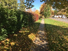 West Avenue; Taken by David Dorrough