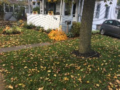 Canandaigua, NY; Taken by David Dorrough