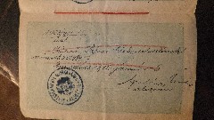 Grandparents; Julia Szechy (Szecsi) Passport