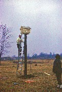 Bruce, Becky Dorrough; birdhouse