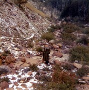 Colorado Friends Travel