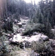 Colorado Friends Travel