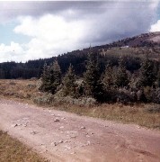 Travel Colorado Arapahoe Glacier Hike