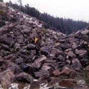 Arapahoe Colorado Friends Glacier Hike Travel
