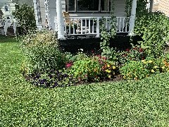 Flowers on the front porch