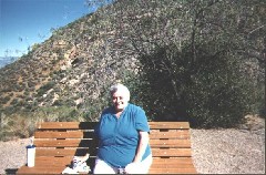 Noreen Curtiss