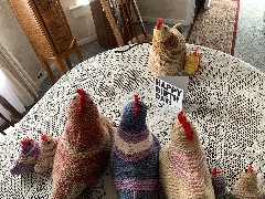 Ruth; Handy Work; Emotional Support Chickens