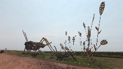 Enchanted Highway, ND
 GrassHoppers in the Field