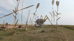 Enchanted Highway, ND
 GrassHoppers in the Field