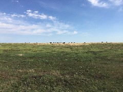 Theodore Roosevelt National Park, ND