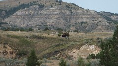 Teddy Roosevelt National Park; Medora, ND