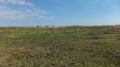 Theodore Roosevelt National Park, ND