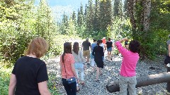 Going to the Sun Road; Glacier National Park, MT