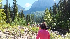 Going to the Sun road; Glacier National Park, MT