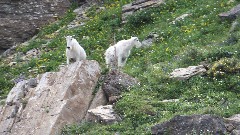 North Dakota - Minnesota - Montana; Glacier National Park