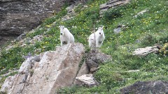Glacier National Park, MT