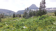Going to the Sun Road; West Glacier National Park Road, MT