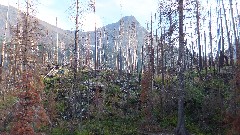 Glacier National Park, MT